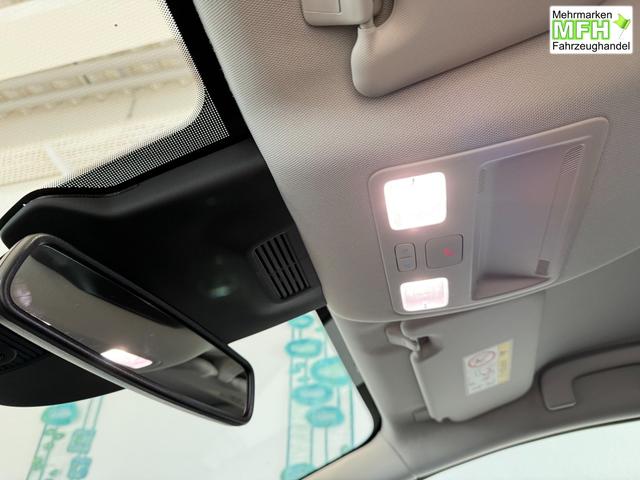 Ford Puma Titanium Cactus Grau