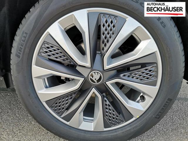 Skoda Karoq Selection 2.0 TDI DSG 4x4 GV5 AHK 18 Ladeb 