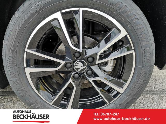 Skoda Fabia - Monte Carlo 1.5TSI DSG ACC GV5 Kam