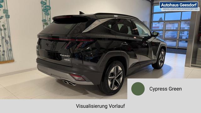 Tucson Cypress Green Vorlauf