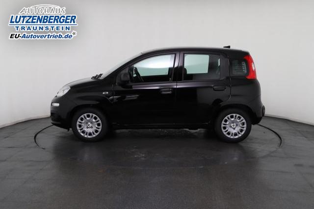 Fiat Panda 1.0 Mild Hybrid 51kW (70 PS) 6-Gang Schaltgetriebe 
