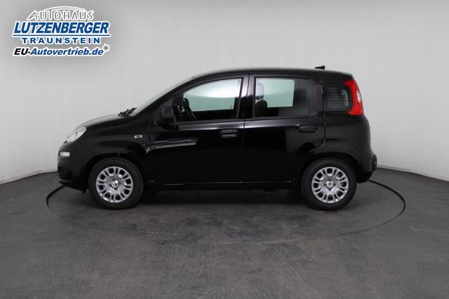 Fiat Panda Pandina Icon 1.0 Mild-Hybrid (65PS) 6-Gang Schaltgetriebe 