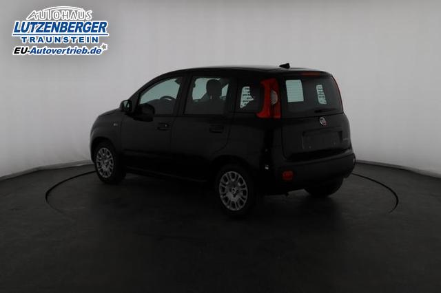 Fiat Panda Pandina Icon 1.0 Mild-Hybrid (65PS) 6-Gang Schaltgetriebe 