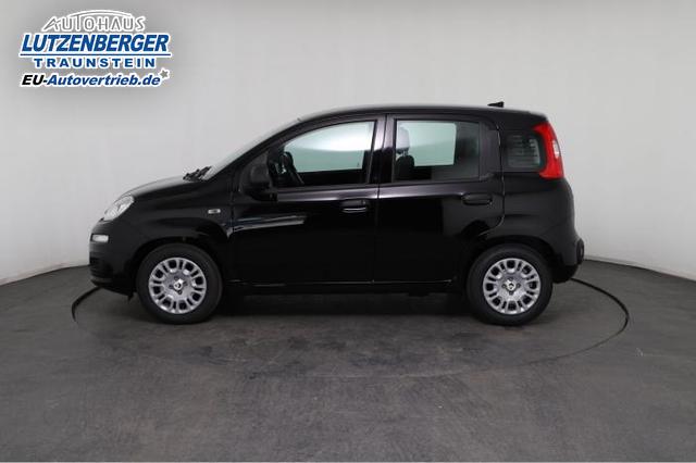 Fiat Panda Pandina Icon 1.0 Mild-Hybrid (65PS) 6-Gang Schaltgetriebe 