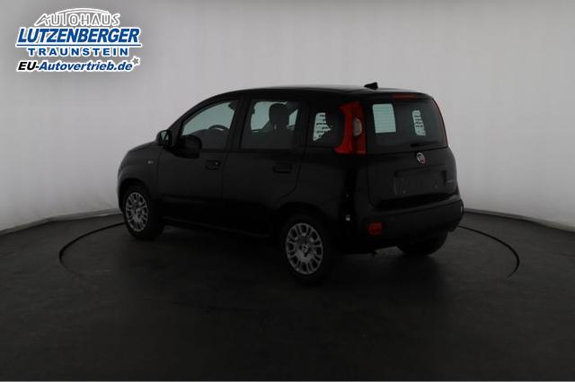 Fiat Panda Pandina Icon 1.0 Mild-Hybrid (65PS) 6-Gang Schaltgetriebe 