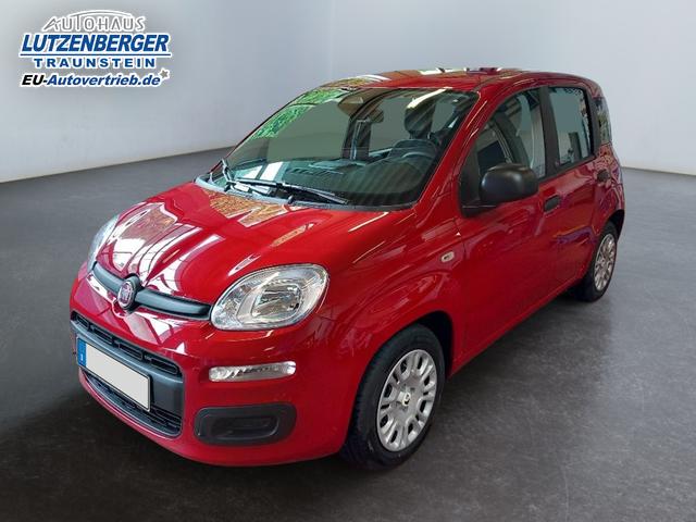 fiat panda rosso