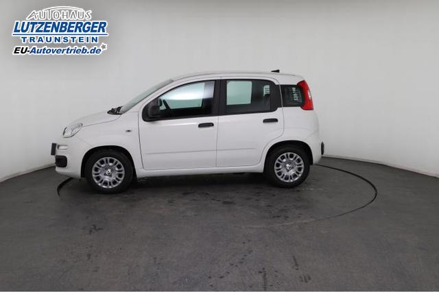 Fiat Panda Pandina Icon 1.0 Mild-Hybrid (65PS) 6-Gang Schaltgetriebe 