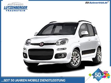 Fiat Panda - Pandina Icon 1.0 Mild-Hybrid (65PS) 6-Gang Schaltgetriebe