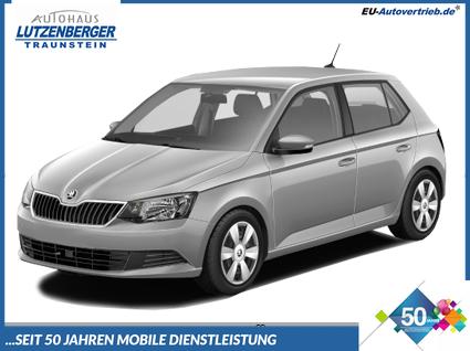 Skoda Fabia - Limousine Selection 1.0 TSI 85kW (115 PS) 6-Gang-Schaltgetriebe