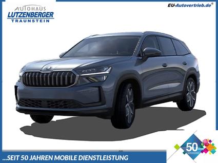 Skoda Kodiaq - Selection 2.0 TDI 110kW (150 PS) 7-Gang DSG