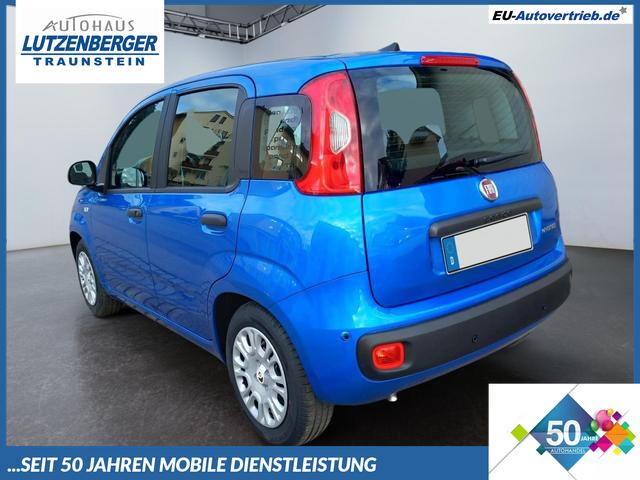 Fiat Panda - 1.0 Pandino Mild Hybrid 52 KW ( 71 PS) 6-Gang Klima Radio digital Cockpit