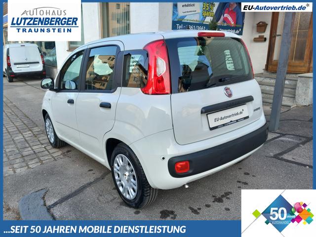 Fiat Panda - 1.0 Pandina Mild Hybrid 52 KW ( 71 PS) 6-Gang Klima Radio digital Cockpit