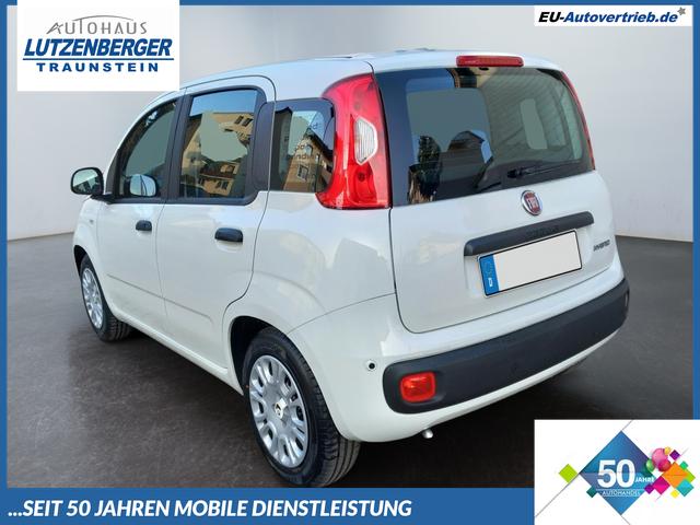 Fiat Panda - 1.0 Pandina Mild Hybrid 52 KW ( 71 PS) 6-Gang Klima Radio digital Cockpit