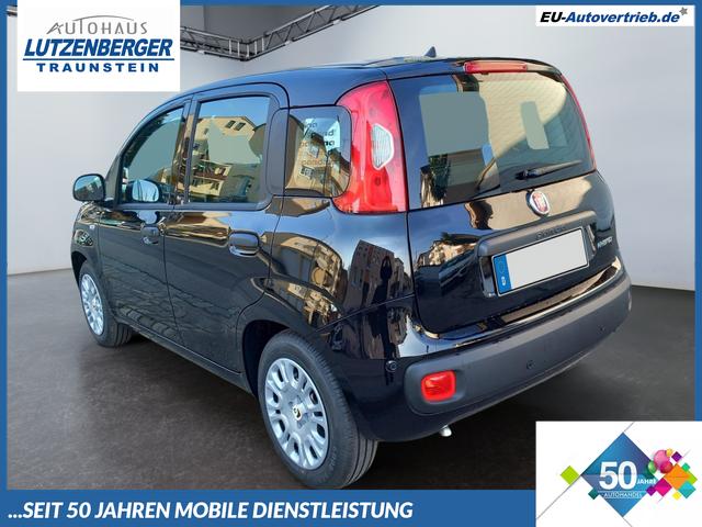 Fiat Panda - 1.0 Pandina Mild Hybrid 52 KW ( 71 PS) 6-Gang Klima digital Cockpit