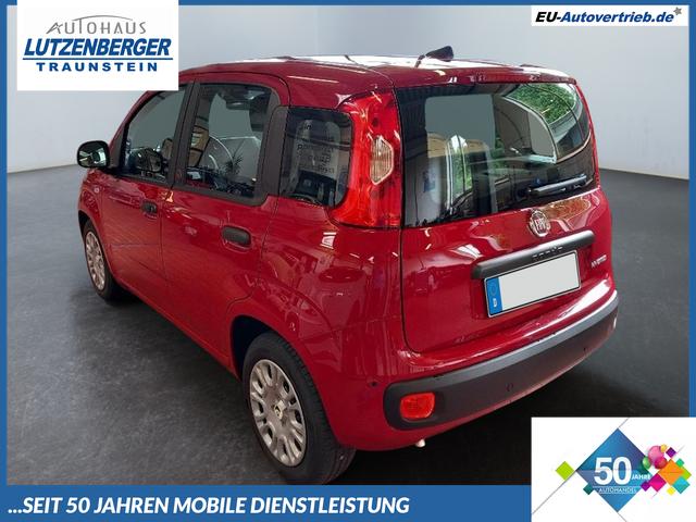 Fiat Panda - 1.0 Pandina Mild Hybrid 52 KW ( 71 PS) 6-Gang Klima Radio digital Cockpit