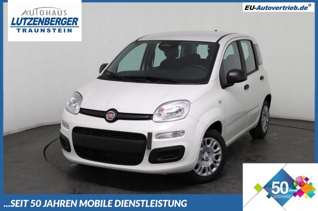 Fiat Panda - Pandina Icon 1.0 Mild-Hybrid (65PS) 6-Gang Schaltgetriebe