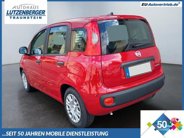 Fiat Panda - 1.0 Pandina Mild Hybrid 6-Gang Klima Radio digital Cockpit