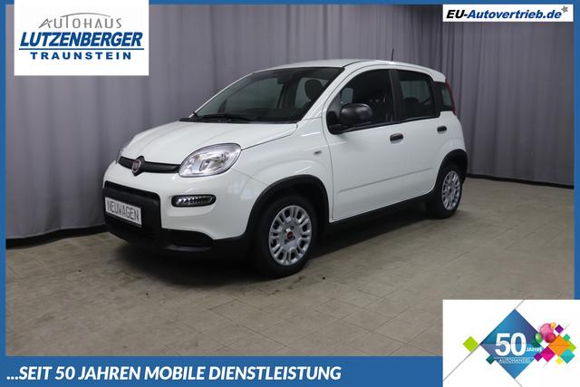 Fiat Panda - Hybrid 1.0 GSE 51kW Mild-Hybrid Radio DAB, Bluetooth, Parksensoren hinten, Klimaanlage, Komfort Paket, Bordcomputer, Heckscheibenheizung, Servolenkung uvm.