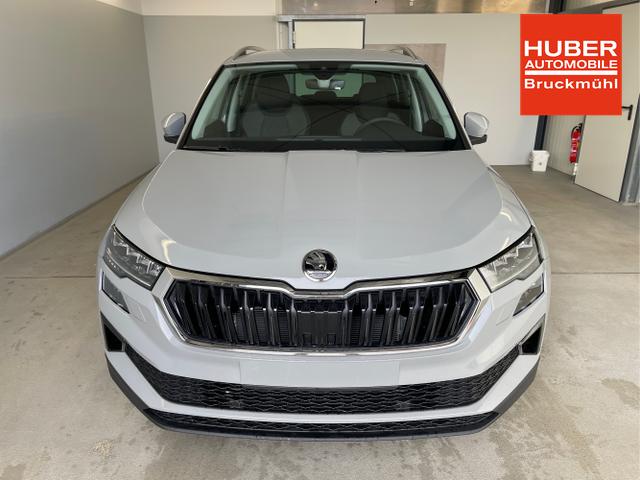 Skoda / Karoq / Grau / / / 150PS TDI DSG 4x4 AHK+Navi+ACC+Kamera+Sitzheiz+eHeck+GV5