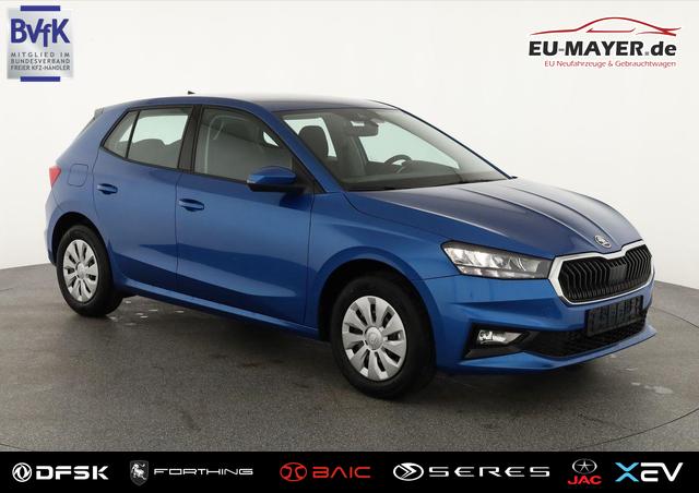 Lagerfahrzeug Skoda Fabia - Selection 1.0 TSI Selection, Park, Winterpaket, SmartLink, 4-J Garantie