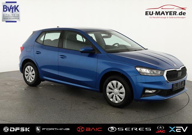 Lagerfahrzeug Skoda Fabia - Selection 1.0 TSI Selection, Ladeboden, Park, Winterpaket, SmartLink, 4-J Garantie