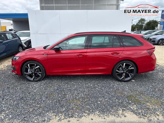 Skoda / Octavia / Grau / / / 