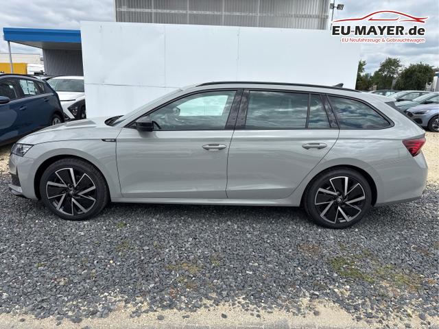 Skoda / Octavia / Grau / / / 