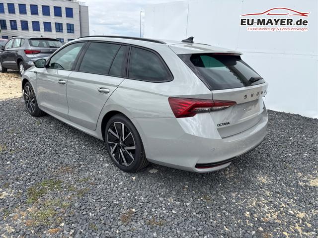 Skoda / Octavia / Grau / / / 