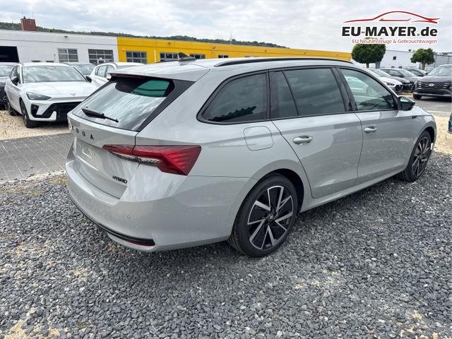 Skoda / Octavia / Grau / / / 