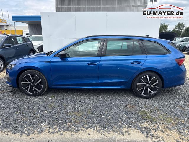 Skoda / Octavia / Grau / / / 