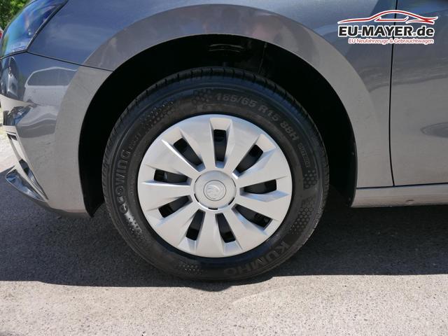 Skoda Fabia Selection 1.0 TSI *NAVI-&Uuml;BER-SMARTLINK*PDC-HI*LED*SHZ*KLIMA*RADIO 