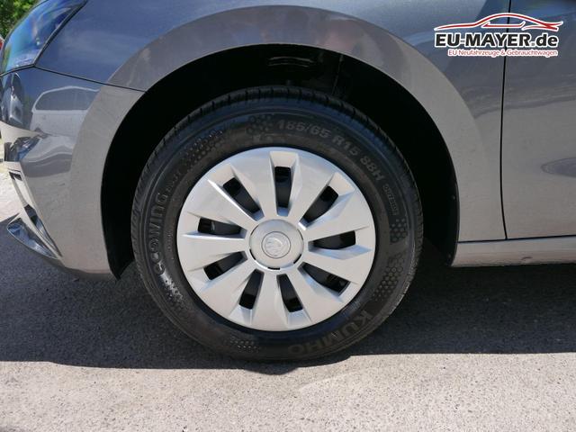 Skoda Fabia Selection 1.0 TSI *NAVI-&Uuml;BER-SMARTLINK*PDC-HI*LED*SHZ*KLIMA*RADIO 