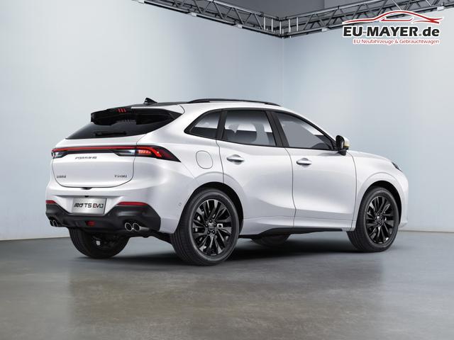 DFM Forthing 5 EV Basis 