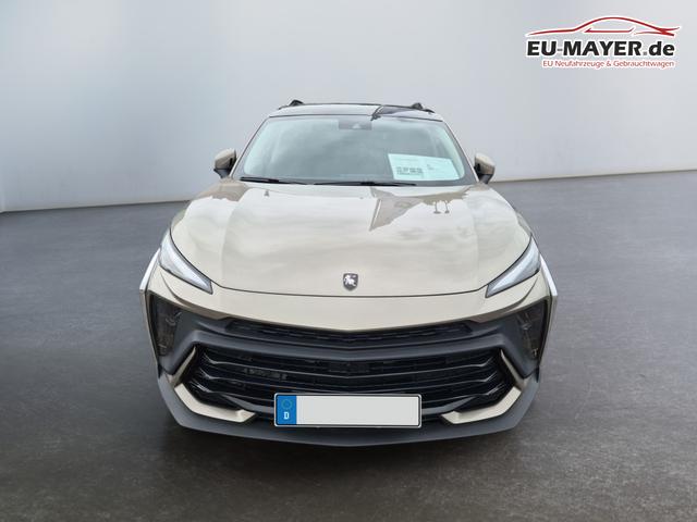 DFM / DFM Forthing 5 (Facelift) / Grau / / / 