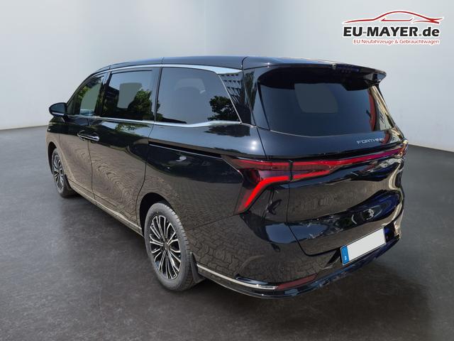 DFM / DFM Forthing 9 / Schwarz / / / 