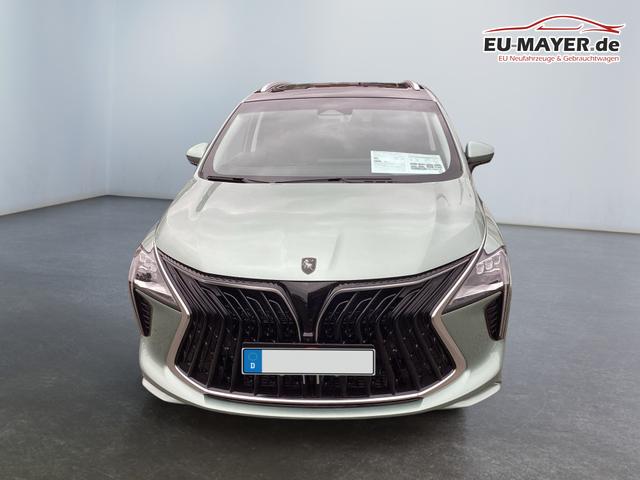 DFM / DFM Forthing 4 / Hellgrün / / / 