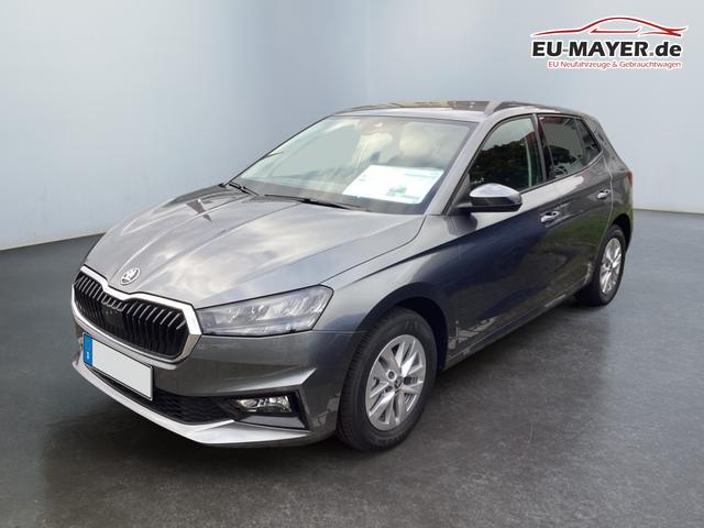 Skoda / Fabia / Grau / / / 