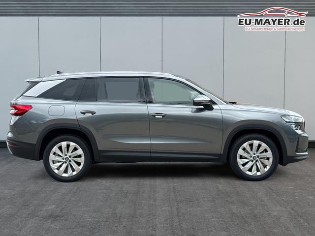 Skoda / Kodiaq / Grau / / / DSG+NAVI+19'' ALU+ACC+KAMERA