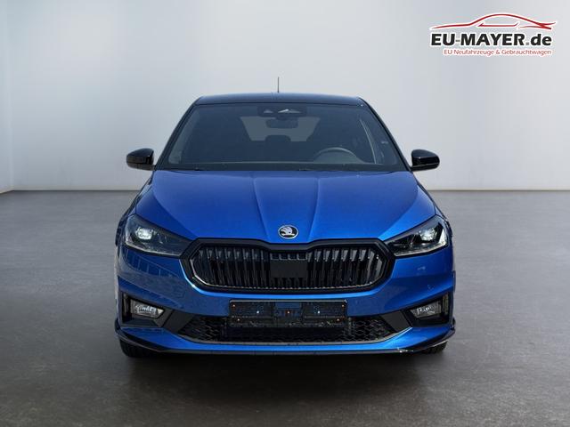 eu auto skoda fabia 130 g&uuml;nstig kaufen