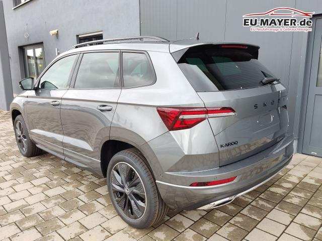 Skoda / Karoq / Grau / / / , Beispielbilder, ggf. teilweise mit Sonderausstattung