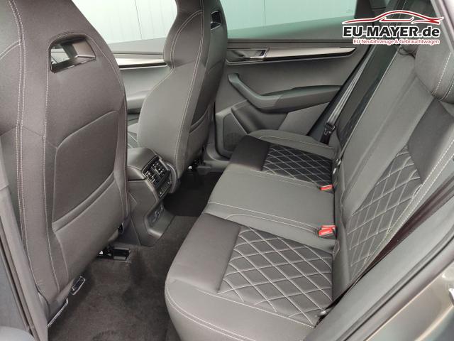 Skoda / Karoq / Grau / / / , Beispielbilder, ggf. teilweise mit Sonderausstattung