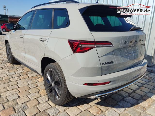 Skoda / Karoq / Grau / / / , Beispielbilder, ggf. teilweise mit Sonderausstattung
