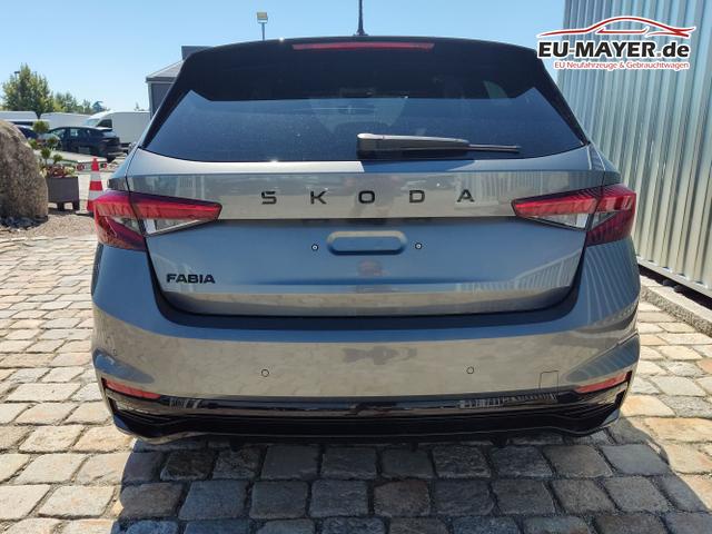 Skoda / Fabia / Grau / / / , Beispielbilder, ggf. teilweise mit Sonderausstattung