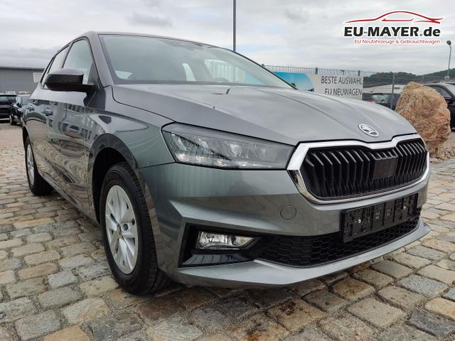 Skoda / Fabia / Grau / / / , Beispielbilder, ggf. teilweise mit Sonderausstattung