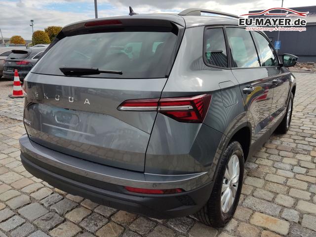 Skoda / Karoq / Grau / / / , Beispielbilder, ggf. teilweise mit Sonderausstattung