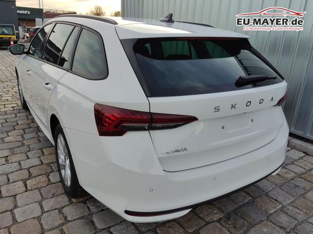 Skoda / Octavia Combi / Wei&szlig; / / / , Beispielbilder, ggf. teilweise mit Sonderausstattung