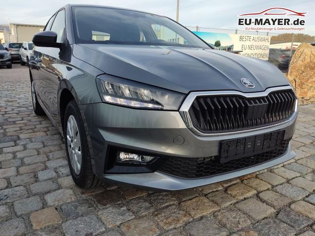 Skoda / Fabia / Grau / / / , Beispielbilder, ggf. teilweise mit Sonderausstattung