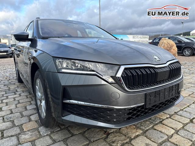 Skoda / Octavia Combi / Grau / / / , Beispielbilder, ggf. teilweise mit Sonderausstattung