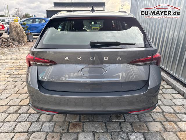 Skoda / Octavia Combi / Grau / / / , Beispielbilder, ggf. teilweise mit Sonderausstattung