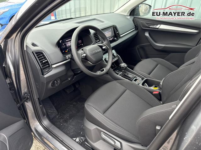 Skoda / Karoq / Grau / / / , Beispielbilder, ggf. teilweise mit Sonderausstattung
